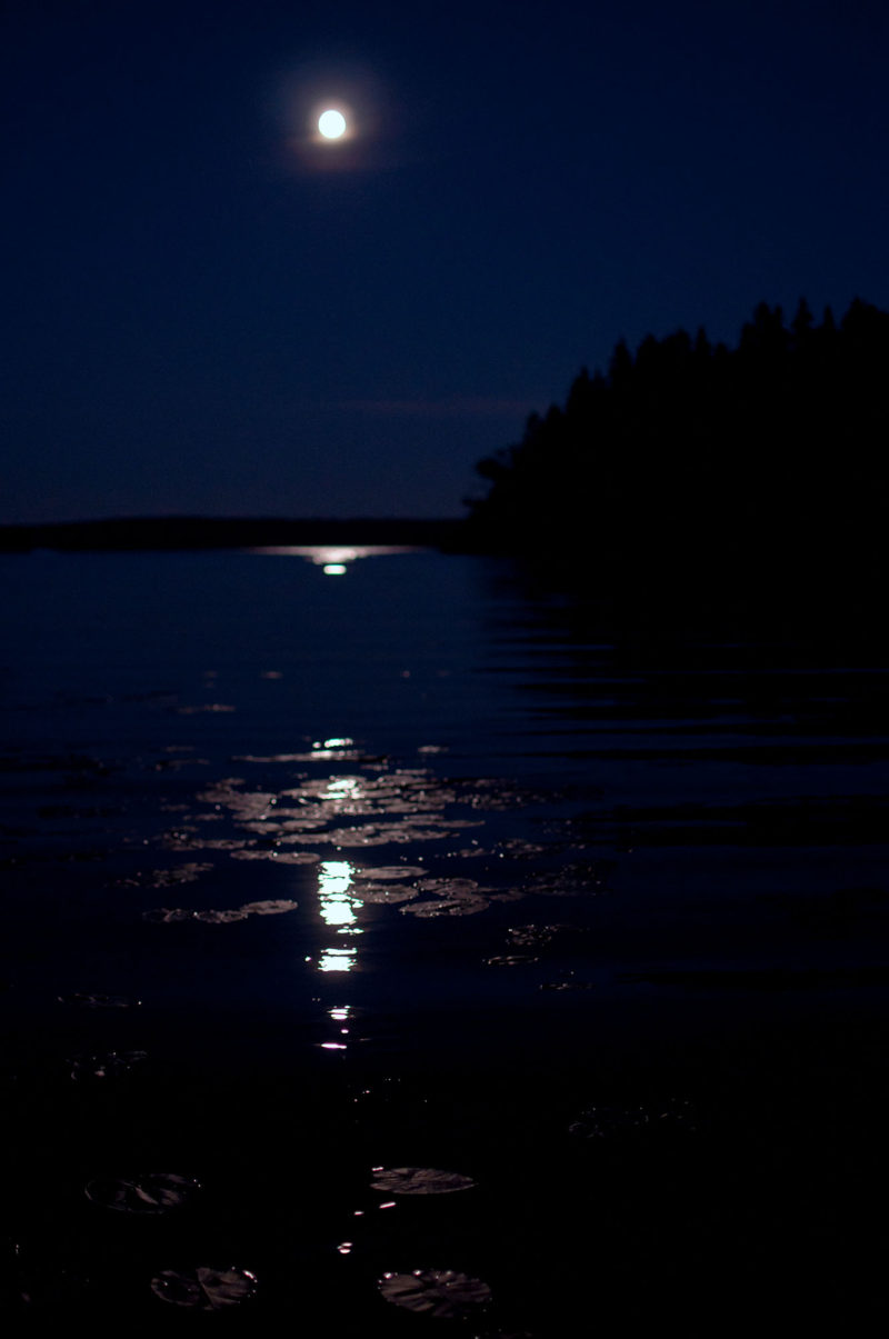 Moonlight reflections on a lake